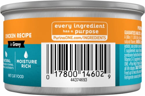 Purina ONE® Natural High Protein True Instinct Chicken Recipe Gravy Wet Cat Food Perspective: right