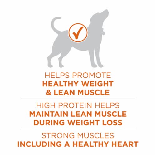 Purina ONE® +Plus Large Breed Puppy Formula Natural Dry Dog Food Perspective: right