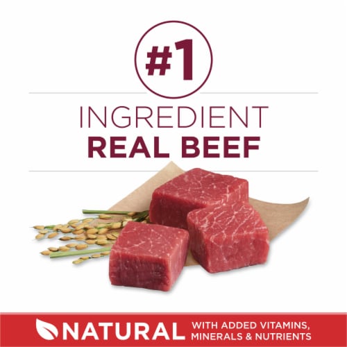 Purina ONE Small Bites Adult Dry Dog Food Beef & Rice Perspective: right