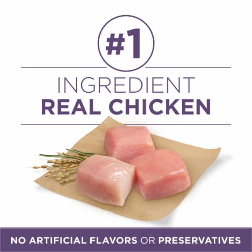 Purina ONE +Plus Vibrant Maturity Adult 7+ Dry Dog Food Chicken & Rice Perspective: right
