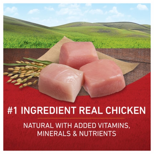 Purina ONE® SmartBlend® Chicken & Rice Formula Natural Dry Adult Dog Food Perspective: right