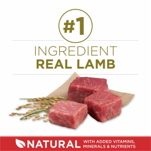 Purina ONE® SmartBlend® Lamb & Rice Formula Natural Adult Dry Dog Food Perspective: right