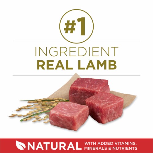 Purina ONE® SmartBlend® Lamb & Rice Formula Natural Adult Dry Dog Food Perspective: right