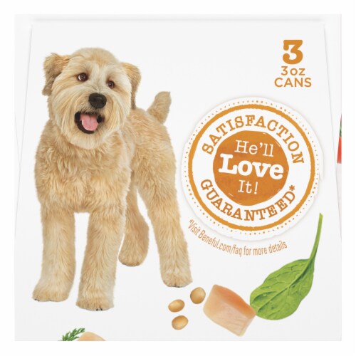 Purina Beneful Medleys Wet Dog Food Romana Style With Chicken in Sauce Perspective: right