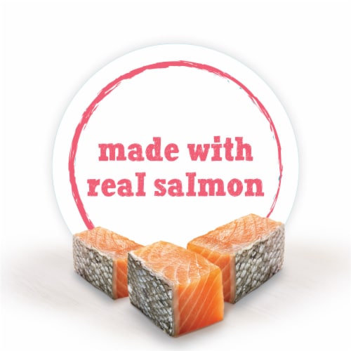 Purina Beneful Small Breed Wet Dog Food With Gravy, IncrediBites with Real Salmon Perspective: right