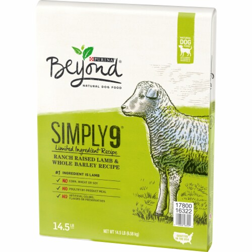 Beyond Simply 9 Ranch-Raised Lamb & Whole Barley Recipe Adult Dry Dog Food Perspective: right