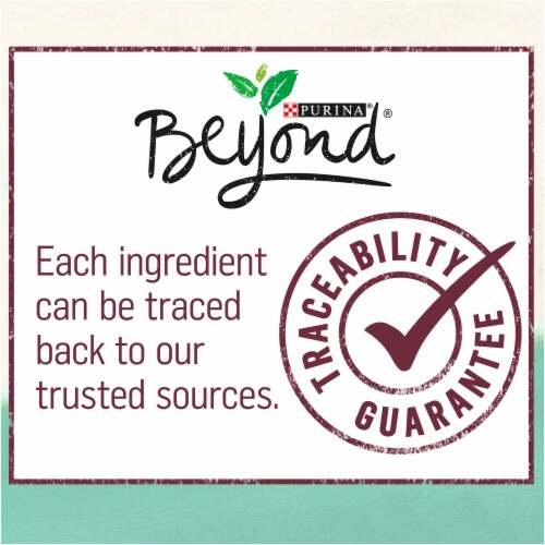 Purina Beyond Grain Free Wet Cat Food Pate Line-Caught Alaskan Cod & Spinach Perspective: right