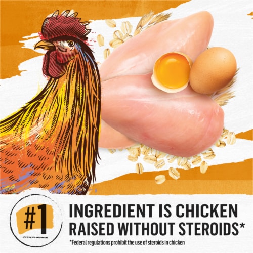 Beyond® Simply Natural White Meat Chicken & Whole Oat Meal Recipe Adult Dry Cat Food Perspective: right