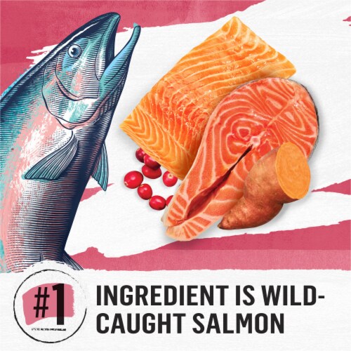 Purina® Beyond® Simpy Grain Free Salmon Egg & Sweet Potato Recipe Indoor Dry Cat Food Perspective: right