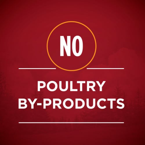 Purina ONE True Instinct Grain Free Wet Dog Food Classic Ground Real Game Bird Perspective: right