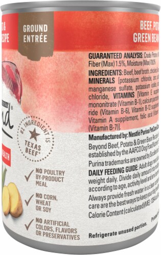 Beyond Grain Free Beef Potato and Green Bean Recipe Wet Dog Food Perspective: right