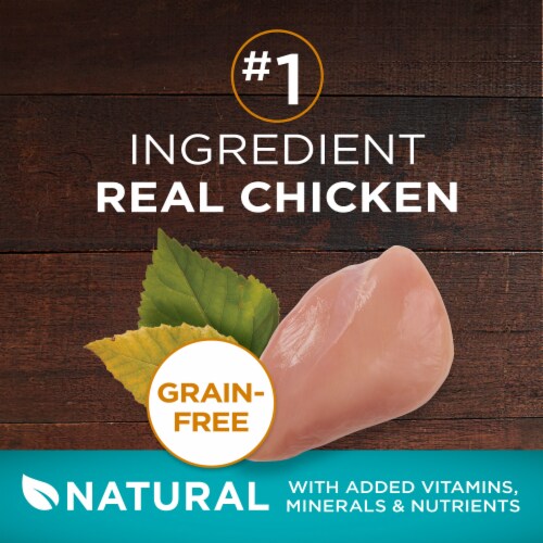 Purina ONE True Instinct High Protein Grain Free Adult Dry Cat Food Real Chicken Perspective: right