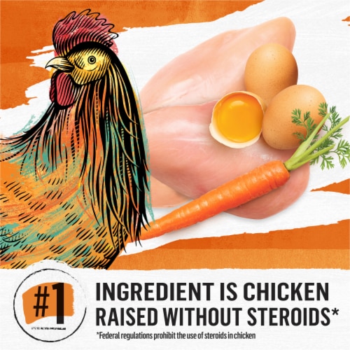 Purina Beyond Grain Free Adult Dry Cat Food White Meat Chicken & Egg Recipe Perspective: right