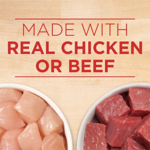 Purina ONE Tender Cuts in Gravy Wet Dog Food Variety Pack Chicken and Brown Rice and Beef and Barley Perspective: right