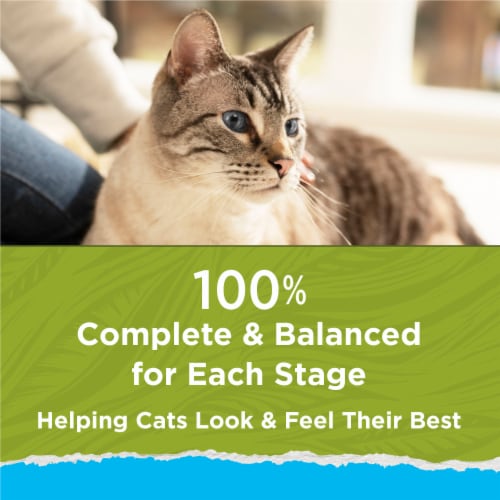 Purina Cat Chow Naturals Indoor Dry Cat Food Real Chicken & Turkey Perspective: right