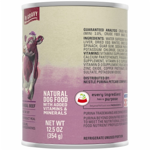 Beyond Grain Free Beef & Spinach Wet Dog Food Perspective: right
