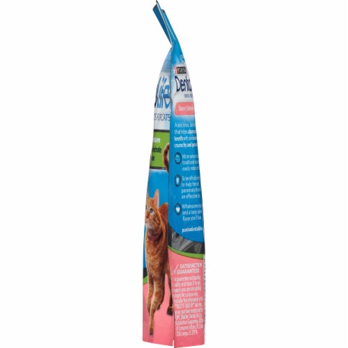 DentaLife Savory Salmon Flavor Dental Crunchy Cat Treats Perspective: right