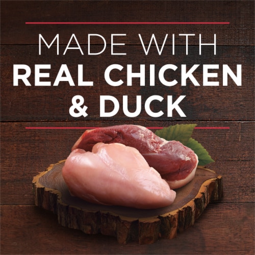 Purina ONE True Instinct Wet Dog Food Tender Cuts in Gravy Real Chicken & Duck Perspective: right