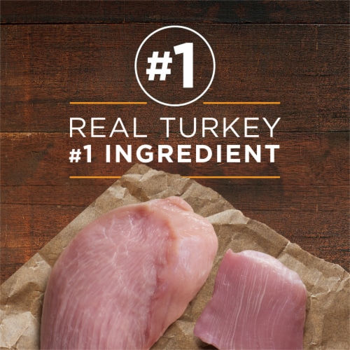 Purina ONE True Instinct Grain Free Wet Dog Food Classic Ground Real Turkey & Venison Perspective: right