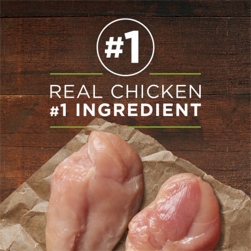 Purina ONE True Instinct Grain Free Wet Dog Food Classic Ground Real Chicken & Duck Perspective: right