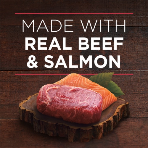Purina ONE® SmartBlend® True Instinct Beef & Salmon Tender Cuts in Gravy Wet Dog Food Perspective: right