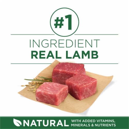 Purina ONE® SmartBlend Lamb & Rice Formula Small Breed Adult Dry Dog Food Perspective: right