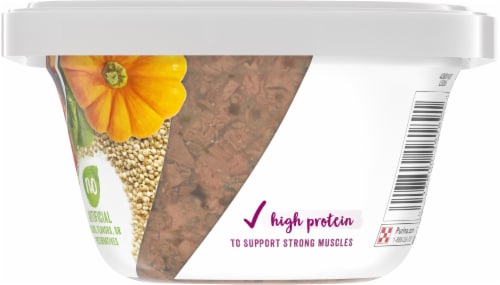 Beneful® Superfood Blend Beef & Salmon in Sauce Adult Wet Dog Food Perspective: right