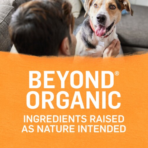 Purina Beyond Organic Chicken & Carrot Wet Dog Food Perspective: right