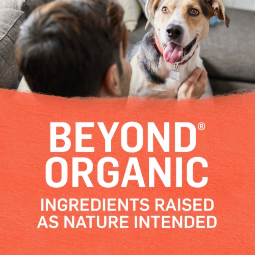 Beyond canned dog food sale