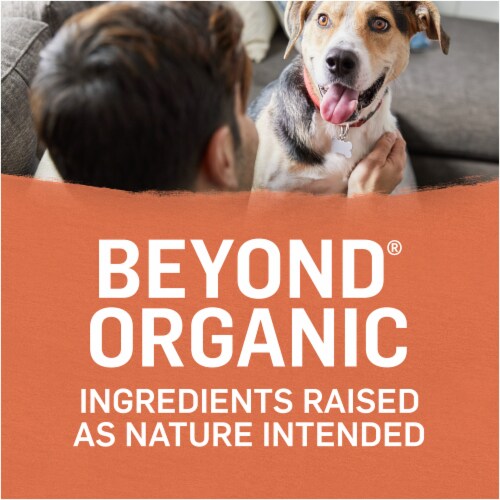Beyond Organic Chicken Egg & Sweet Potato Adult Dry Dog Food Perspective: right
