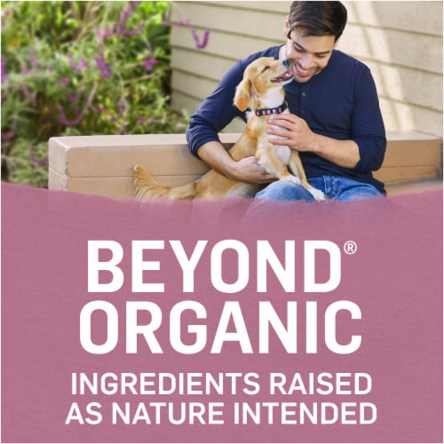 Beyond Organic Chicken Egg & Carrot Recipe Dry Small Dog Food Perspective: right