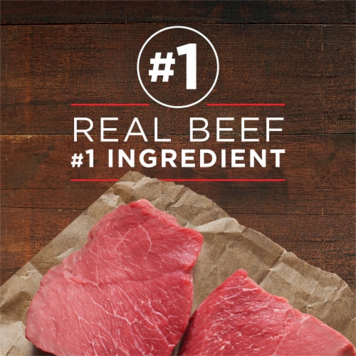 Purina ONE True Instinct Grain Free Wet Dog Food Classic Ground Real Beef & Bison Perspective: right