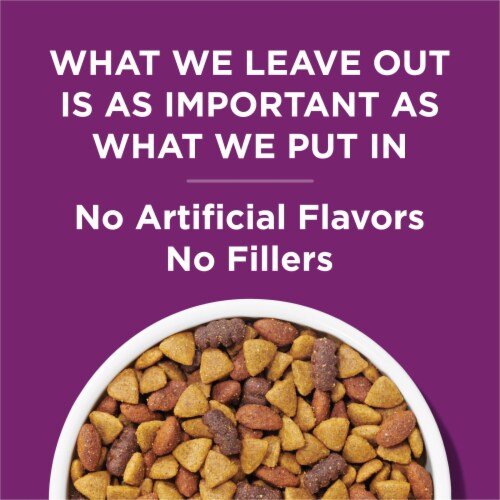 Purina® Dog Chow® Lamb Flavor Adult Dry Dog Food Perspective: right