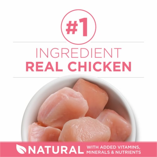 Purina ONE +Plus Healthy Kitten Natural Dry Cat Food Real Chicken Perspective: right