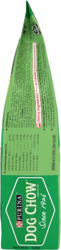 Purina® Dog Chow Complete Adult Real Chicken Dry Dog Food Perspective: right