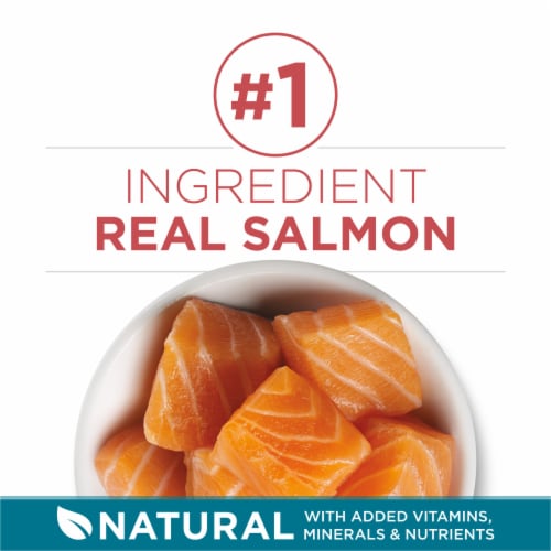 Purina ONE® Tender Selects Blend with Real Salmon Natural Dry Cat Food Perspective: right