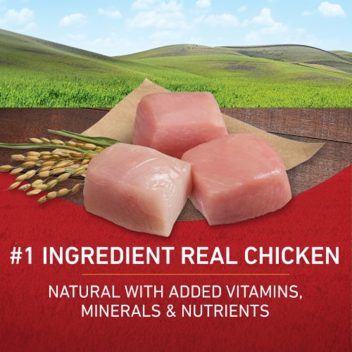 Purina ONE® SmartBlend® Chicken & Rice Formula Natural Dry Adult Dog Food Perspective: right