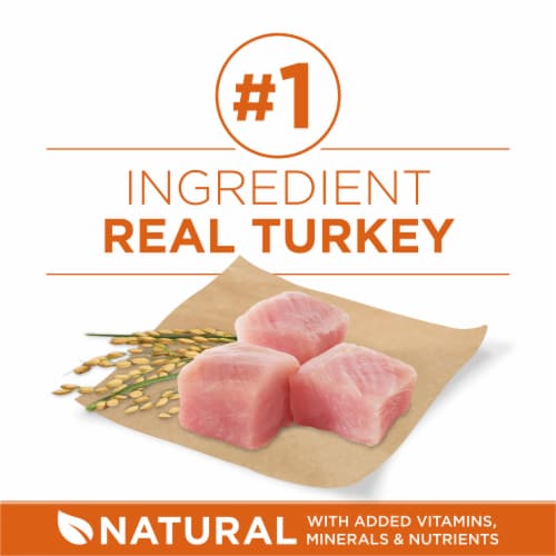 Purina ONE High Protein Healthy Weight Turkey Flavor Adult Dry Dog Food Perspective: right