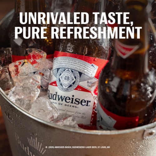 Budweiser American Lager Beer Perspective: right