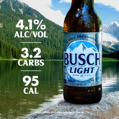 Busch Light American Lager Beer Perspective: right