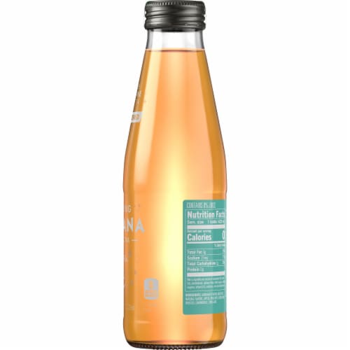 Teavana™ Sparkling Unsweetened Peach Nectarine Green Tea Perspective: right