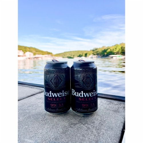 Budweiser Select Domestic Lager Beer Perspective: right