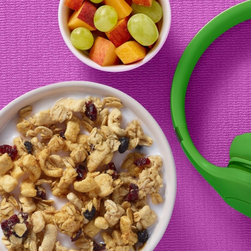 Kashi GO Toasted Berry Crisp Protein Cereal Perspective: right