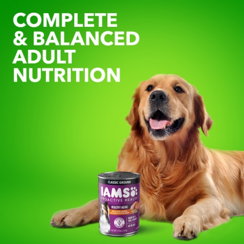 Iams soft dog food shop
