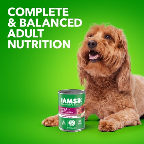 Iams Proactive Health Adult Canned Wet Dog Food Beef Rice Carrots & Green Beans Chunks in Gravy Perspective: right
