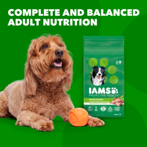 Iams Proactive Health Minichunks Adult Small Kibble Dry Dog Food Real Chicken Flavor Perspective: right