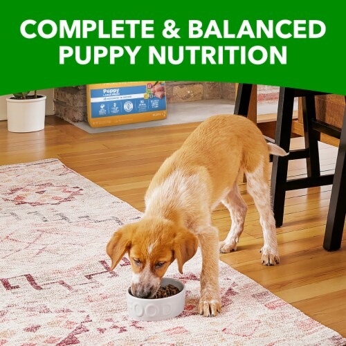 IAMS Puppy Large Breed Chicken Dry Dog Food Perspective: right