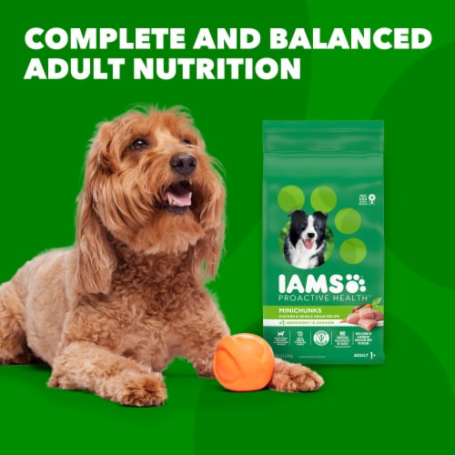 Minichunks deals dog food