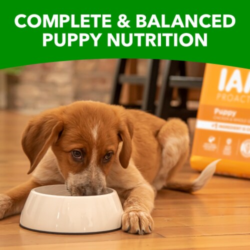 Iams Proactive Health Smart Puppy Dry Dog Food Real Chicken Flavor Perspective: right