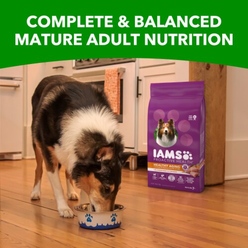 Iams Proactive Health Healthy Aging Dry Senior Dog Food Real Chicken Flavor Perspective: right